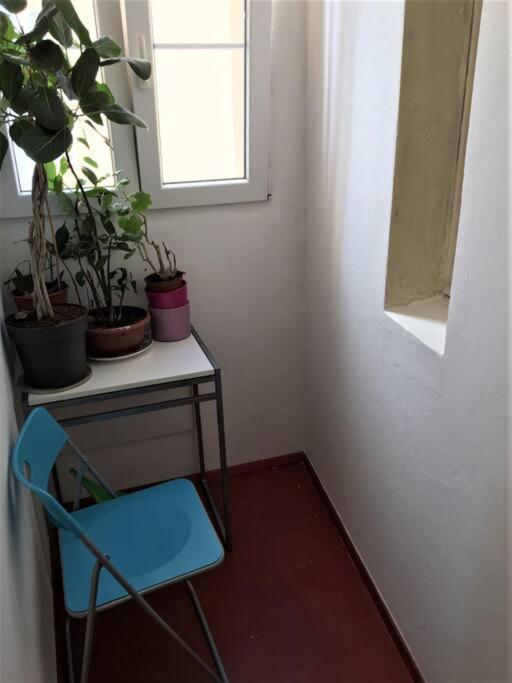 Byt V Srdci Zizkova Praha 3 エクステリア 写真
